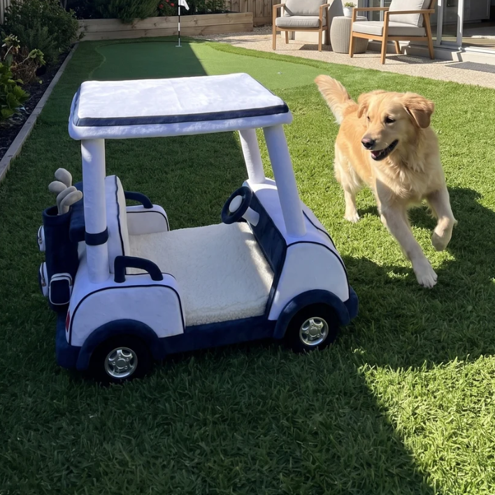 BetterGolfer⢠Beds